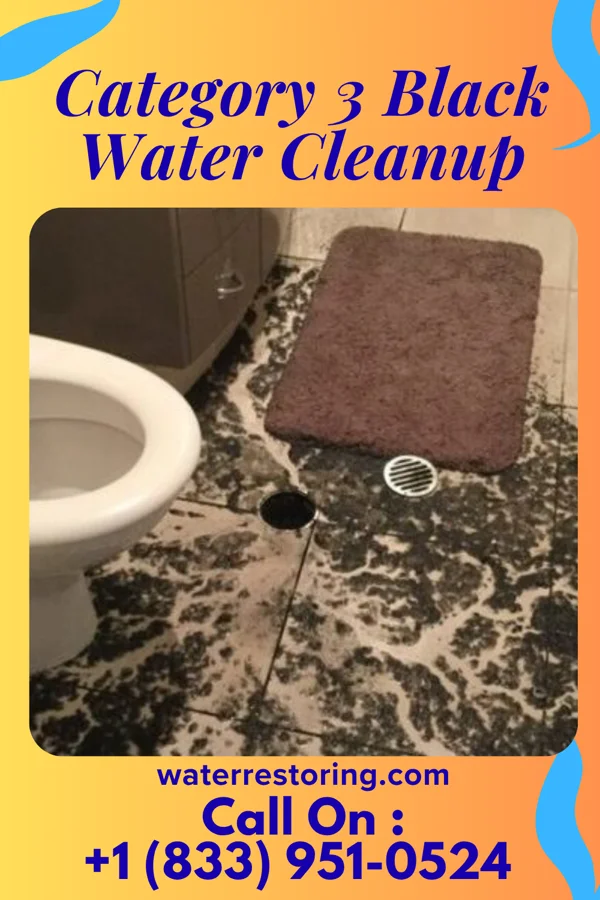 Category 3 Black Water Cleanup in Vernon, IN