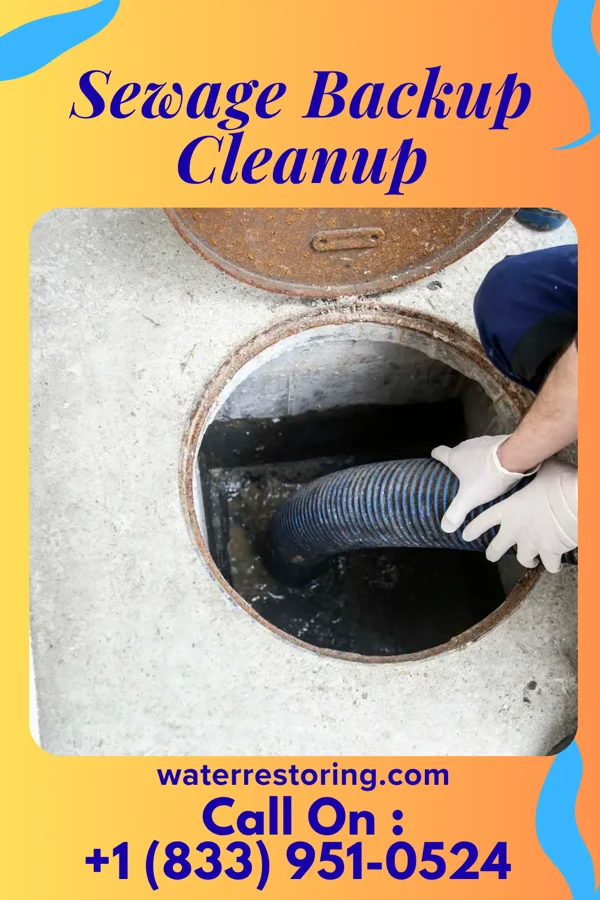 Sewage Backup Cleanup in Vernon, IN