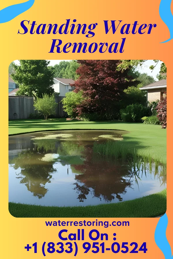 Standing Water Removal in Vernon, IN